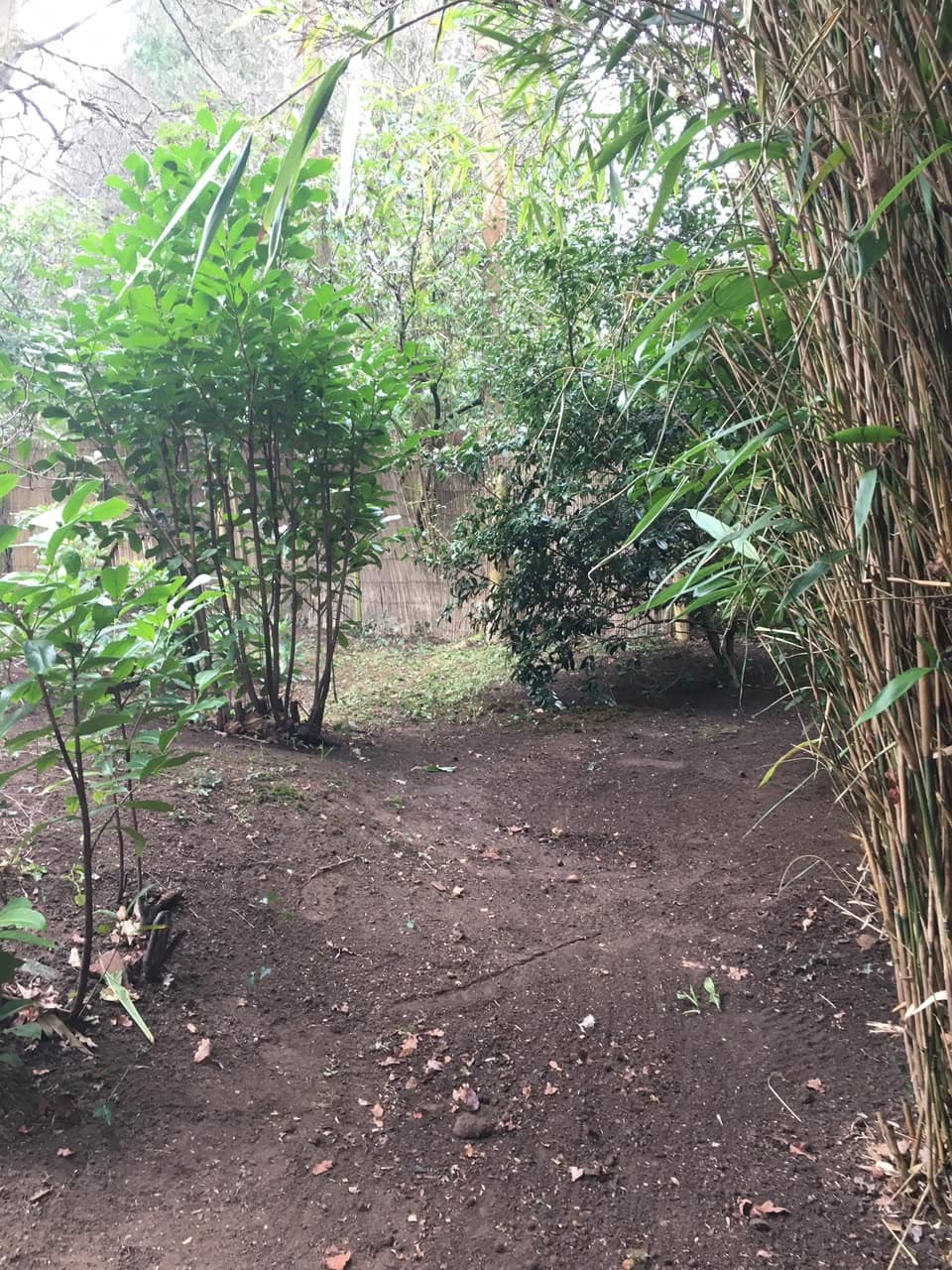 Cleared garden area with freshly exposed soil