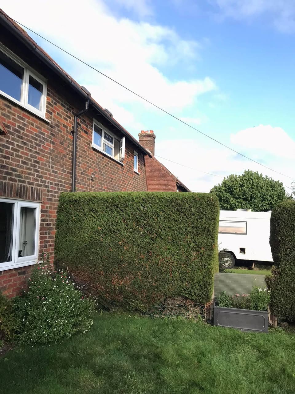Large rectangular hedge with clean flat top