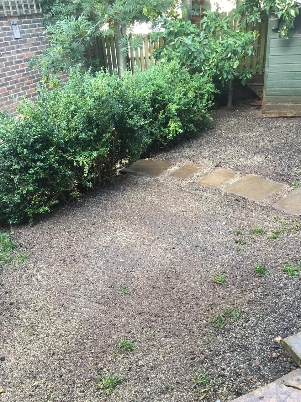 Gravel surface with stepping stones leading to shed