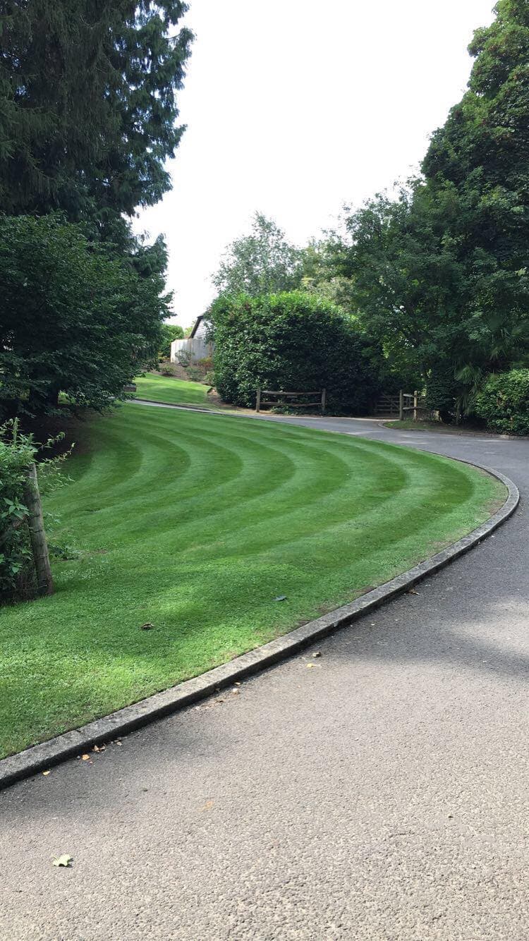 Lawn with elegant curved striping pattern