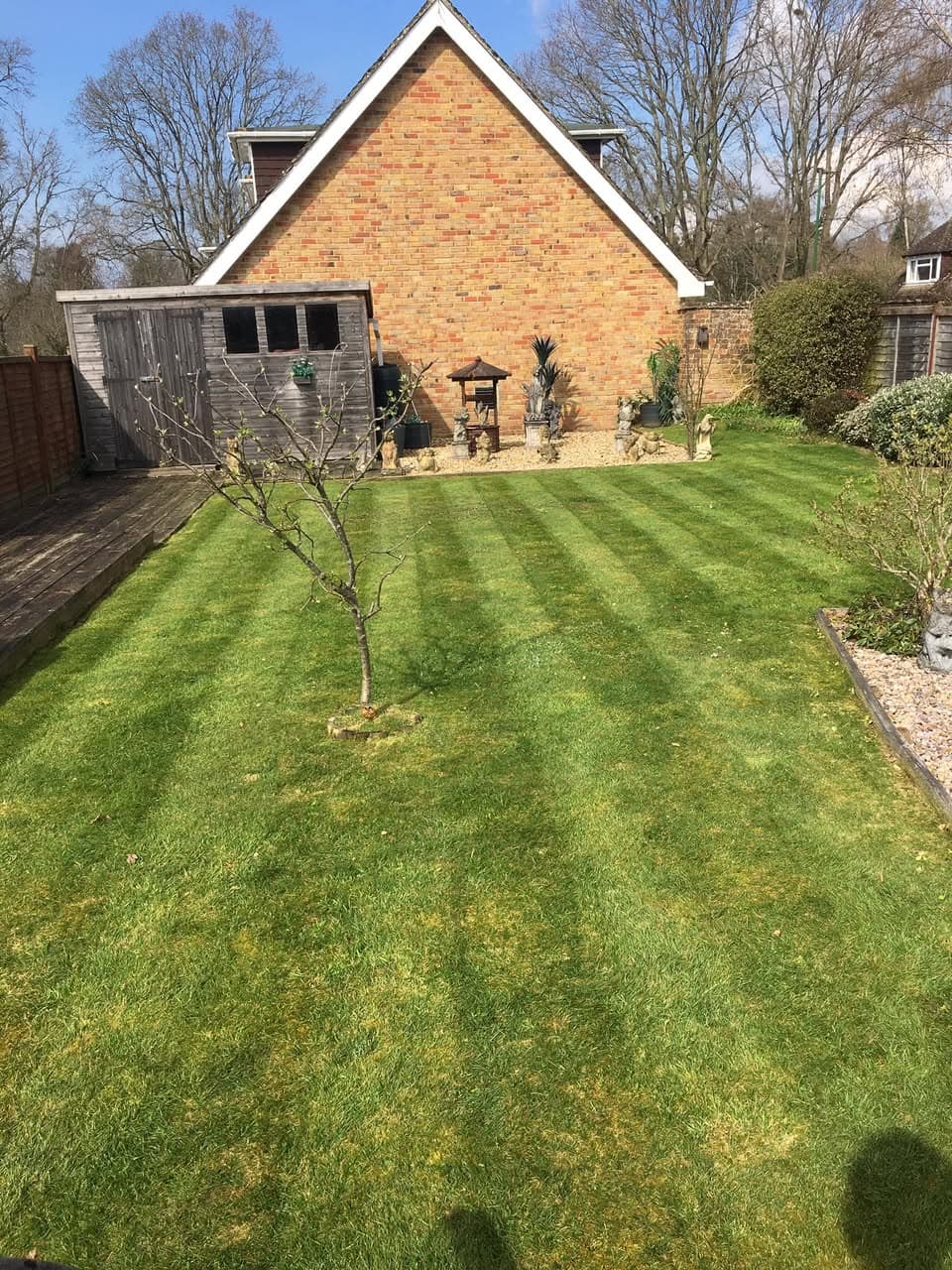 Freshly mowed residential lawn with striping pattern