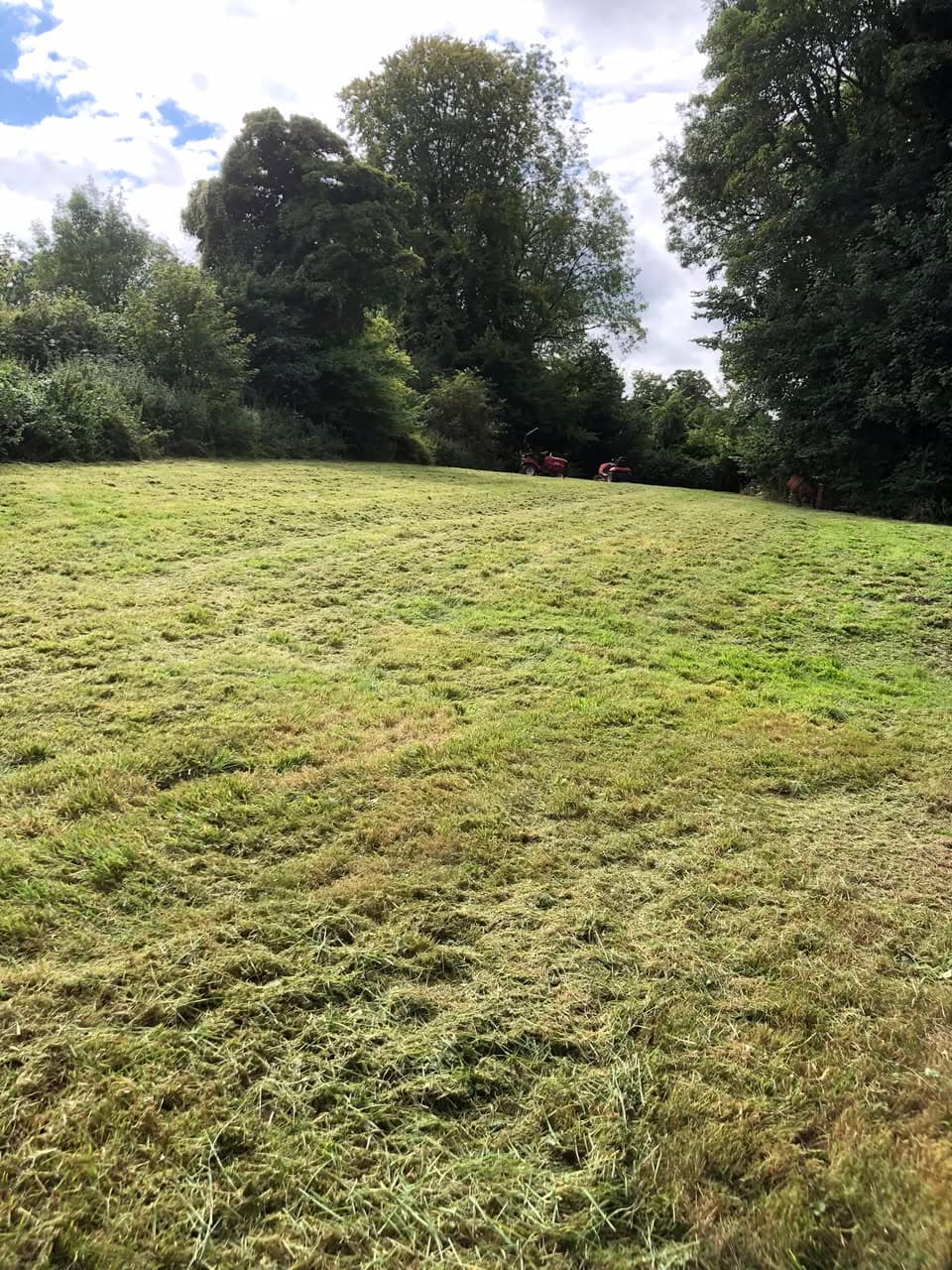 Freshly mown paddock with horses in background